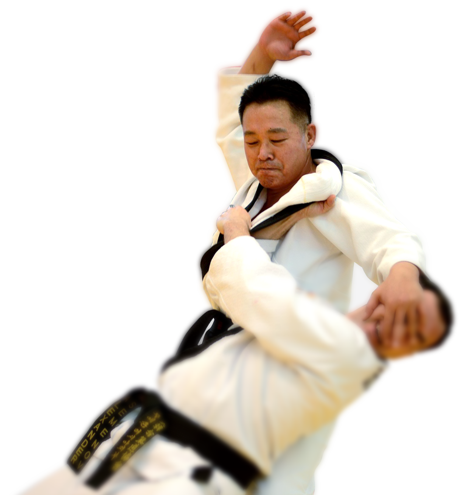 orea Hapkido Federation (KHF) master demonstrating a high-level Hapkido self-defense technique.